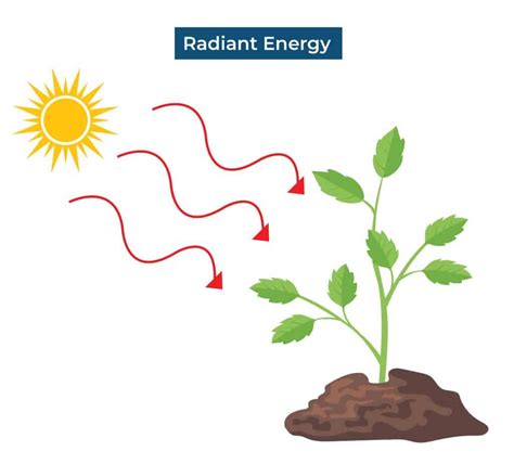 Radiant Energy: Definition & Types of Radiant Energy