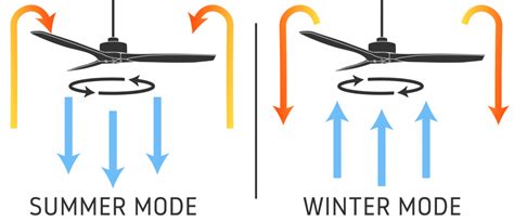 Ceiling Fan Wiring Diagram: A Complete Tutorial | EdrawMax