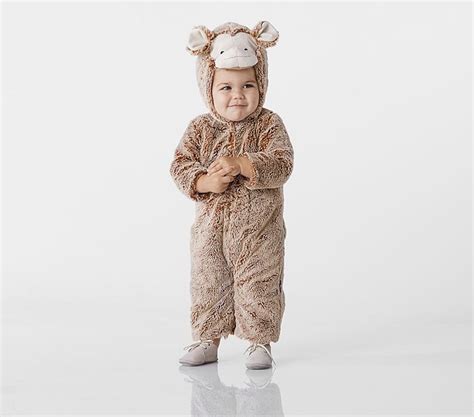 Baby Monkey Costume | Pottery Barn Kids