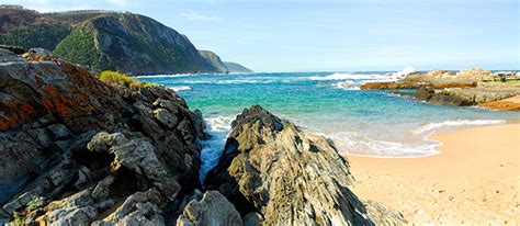 GARDEN ROUTE NATIONAL PARK - TSITSIKAMMA - Businesses in Tsitsikamma