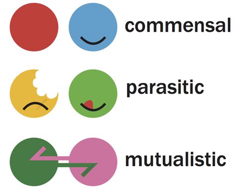 sabree.8 | Insect-Microbial Symbiosis Lab