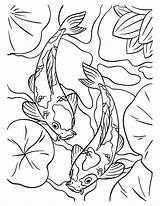 Koi Fish Coloring Page For Kids 17022983 Vector Art At Vecteezy sketch template