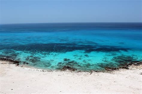 Qalansiyah Beach (Socotra Island, Yemen): Top Tips Before You Go ...