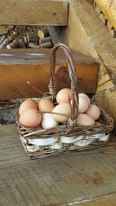 HD wallpaper: eggs in one basket, farm, chickens, brown eggs, wicker basket | Wallpaper Flare