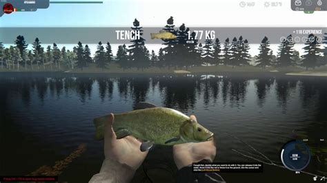 TOP 10 FISHING SIMULATION GAMES TO PLAY