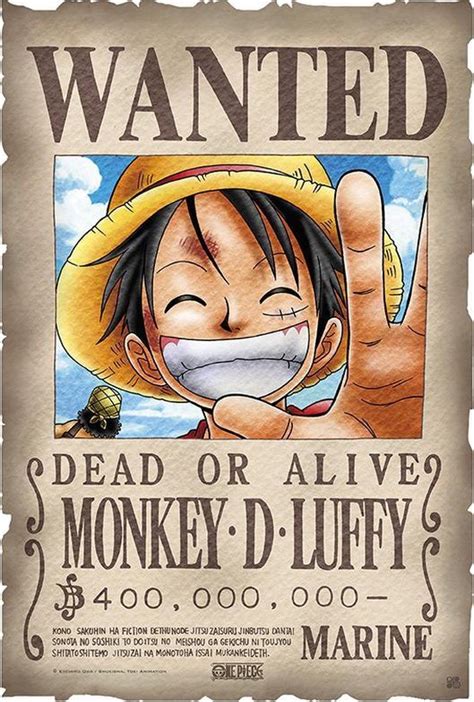 bol.com | One Piece Poster The Wanted Luffy