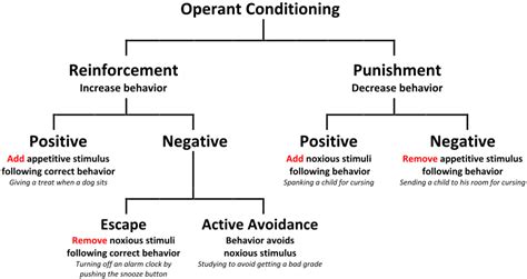 File:Operant conditioning diagram rev.svg - Wikimedia Commons