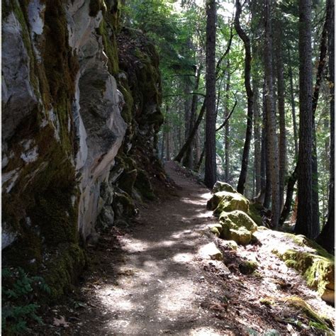 Cave Junction Travel Guide: Best of Cave Junction, Oregon Travel 2024 ...