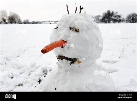 Funny snowman with carrot nose and three hairs on his head, Duesseldorf-Kaiserswerth, North ...