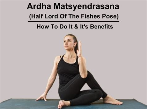 Ardha Matsyendrasana Yoga - Half Lord Of The Fishes Pose