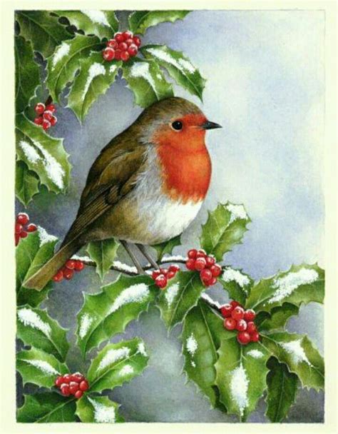 447 best Christmas: Bird Cards & Illustrations images on Pinterest ...