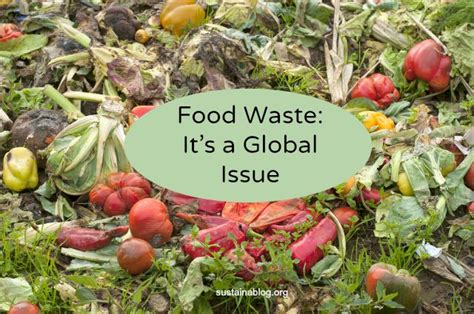 UN Addresses Global Food Waste