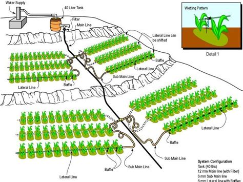 Border Wall Irrigation | Irrigation system design, Drip irrigation ...