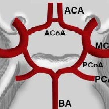 Typical examples of Fazekas grade 1, 2 and 3 white matter... | Download ...