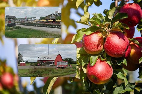 The Best U-Pick Apple Orchards Across Michigan