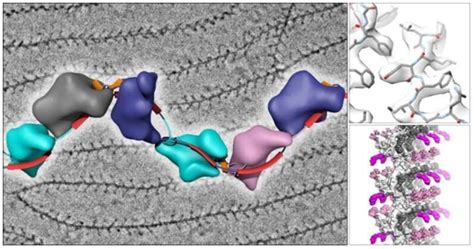 Cryo-EM Solutions - Creative Biostructure