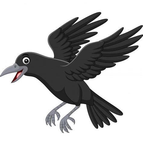 Cartoon Crow Flying Isolated On White | Cartoon crow, Crow flying, Crow pictures