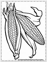 Corn coloring pages To Download And Print For Free sketch template