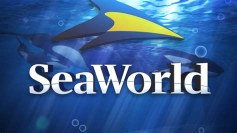 REPORT: SeaWorld may be sold to Six Flags | WOAI