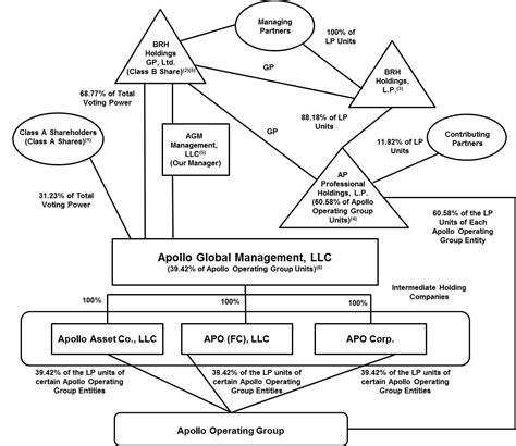 Entity Organization Chart Shapes: A Visual Reference of Charts | Chart ...