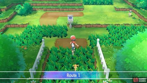 Route 1 | Pokémon: Let's Go | Gamer Guides