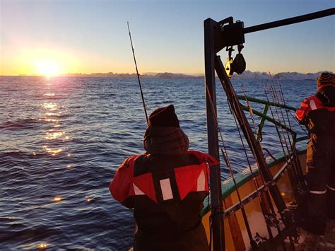 Lofoten fishing with Go2Lofoten - 100% Local family business! - Visit Lofoten