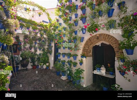 Traditional Courtyard at San Basilio - Cordoba, Andalusia, Spain Stock ...