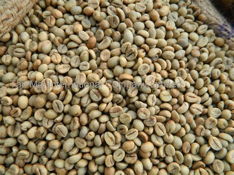 Vietnam robusta green coffee beans products,Vietnam Vietnam robusta green coffee beans supplier