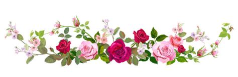 Free Flower Border Clipart, Download Free Flower Border Clipart png images, Free ClipArts on ...