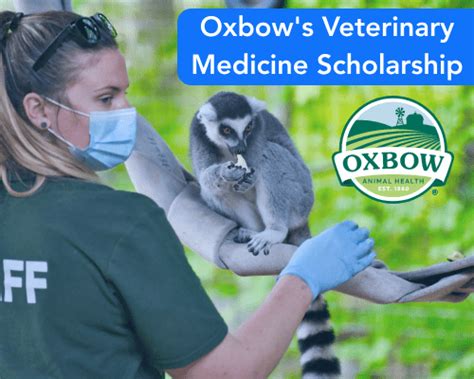 Oxbow's Veterinary Medicine Scholarship - Scholarships360