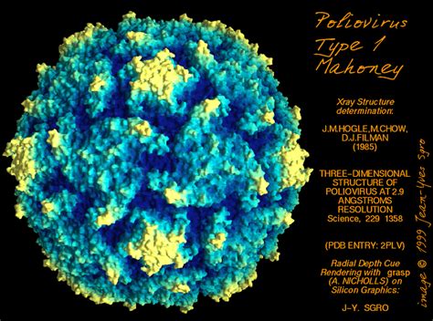 Picornaviruses- Enteroviruses and general features of picornaviruses