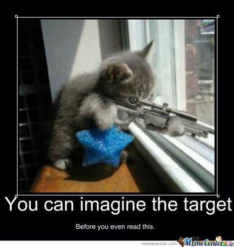 Cat Holding Gun Meme