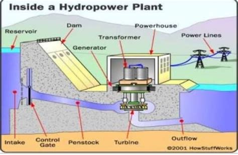 hydroelectric power plant explain with diagram step by step - Brainly.in