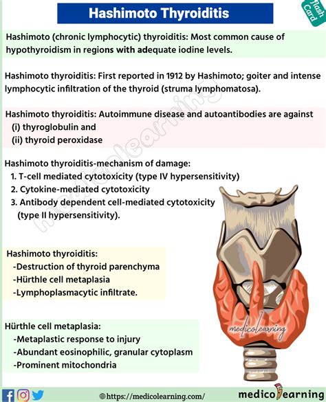 ECTOPIA VESICAE – MedicoLearning