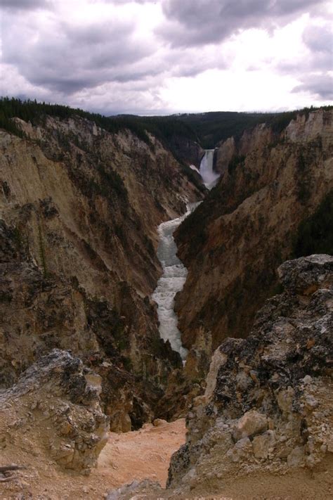 Yellowstone Wildlife - Justinsomnia