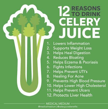 Benefits Of Celery Juice Pcos - health benefits