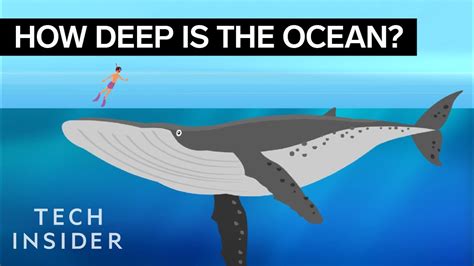 This incredible animation shows how deep the ocean real... | Doovi