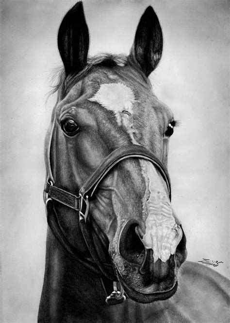 Chestnut Horse by Yankeestyle94 on DeviantArt