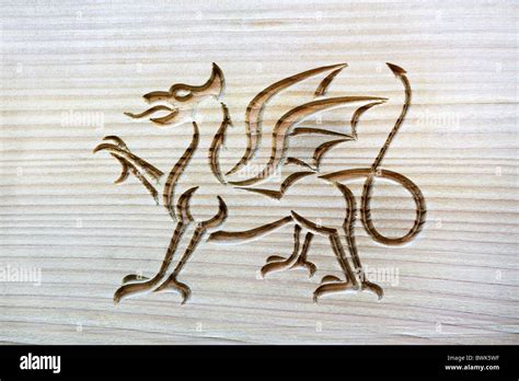 Welsh dragon, national symbol of Wales, carved into grained wood panel Stock Photo - Alamy