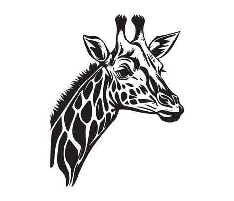 Giraffe Face, Silhouettes Giraffe Face, black and white Giraffe vector ...