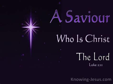 28 Bible verses about Nativity Of Jesus Christ