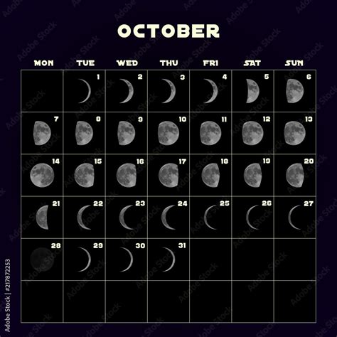 Moon phases calendar for 2019 with realistic moon. October. Vector ...