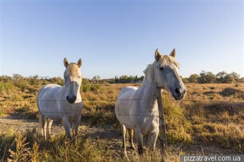 Camargue National Park - France - Blog about interesting places