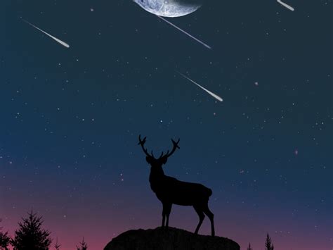 Wallpaper deer, moon, night, artwork desktop wallpaper, hd image ...