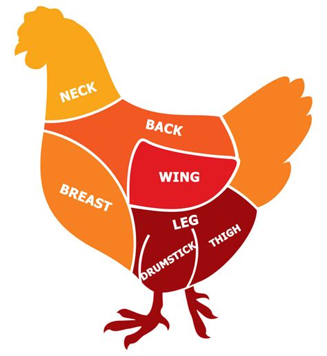 Learn the parts of a Chicken - Aggelakis Poultry Products