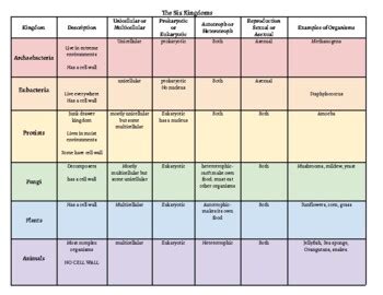 Six Kingdoms: Classification Chart by The Color Coded Company | TPT