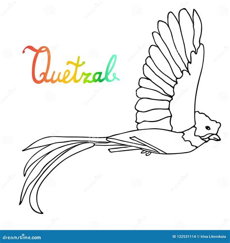 Guatemala Quetzal Bird Coloring Page Coloring Pages