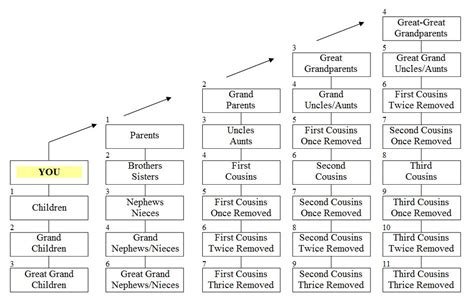 What Is A Second Cousin Once Removed Chart