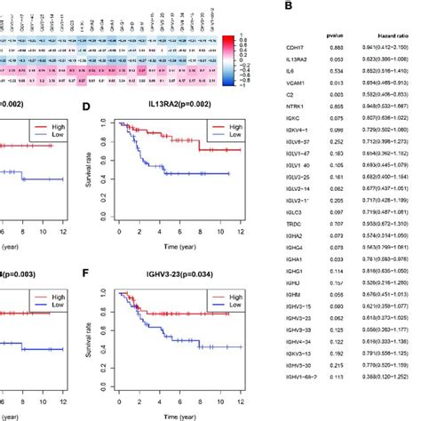 Analysis of B-cell activation pathway genes. (A) Heat map of risk score ...