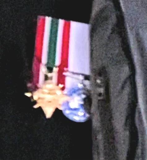 What medals are these? : r/CanadianForces